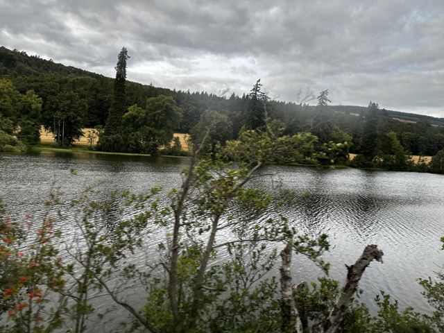 Lochside trees and calm water