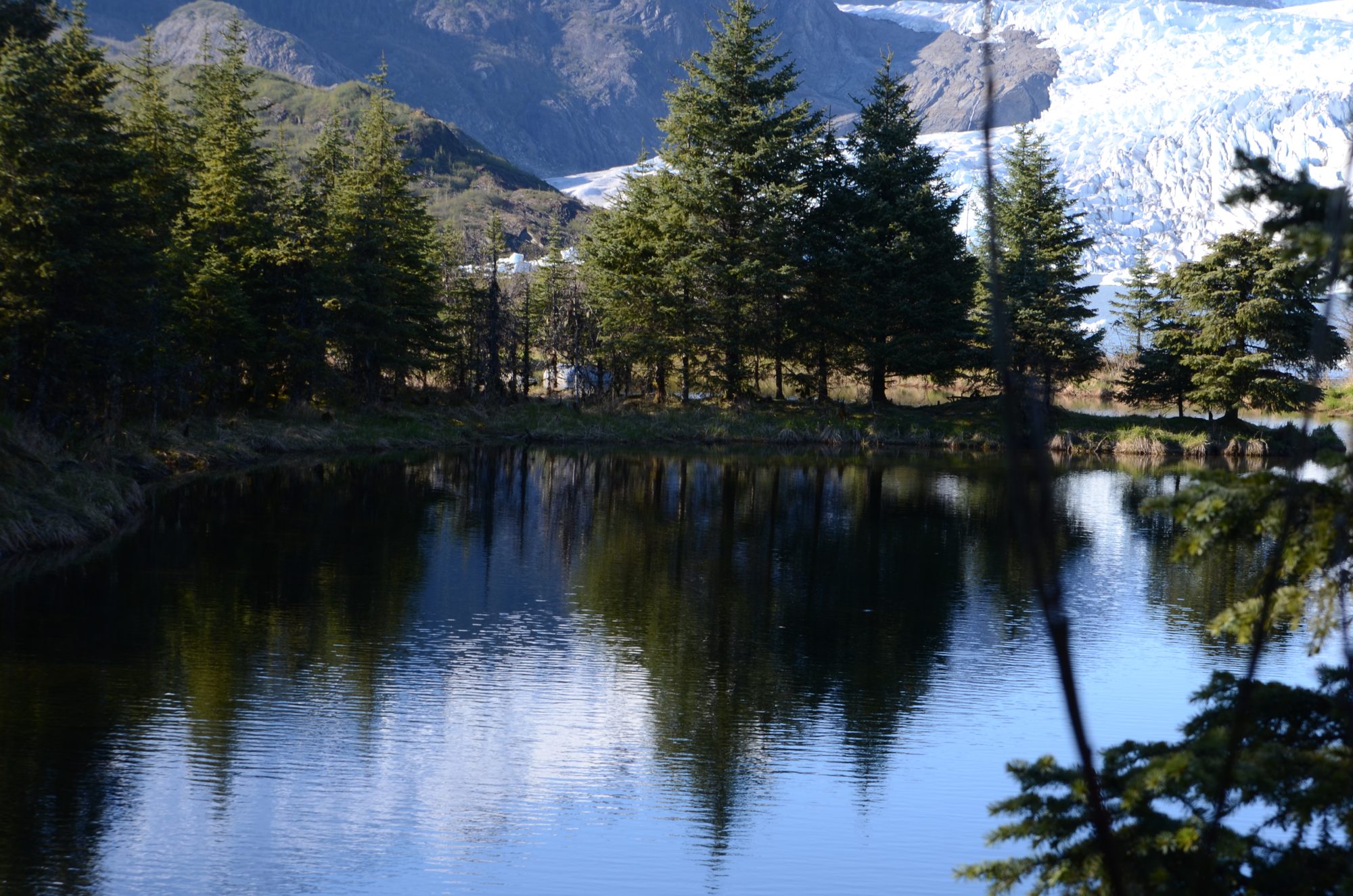 A glacier above a still lake edged with spruce