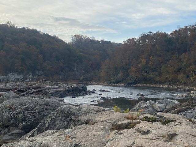 Rocky river rapids below wooded hills in autumn