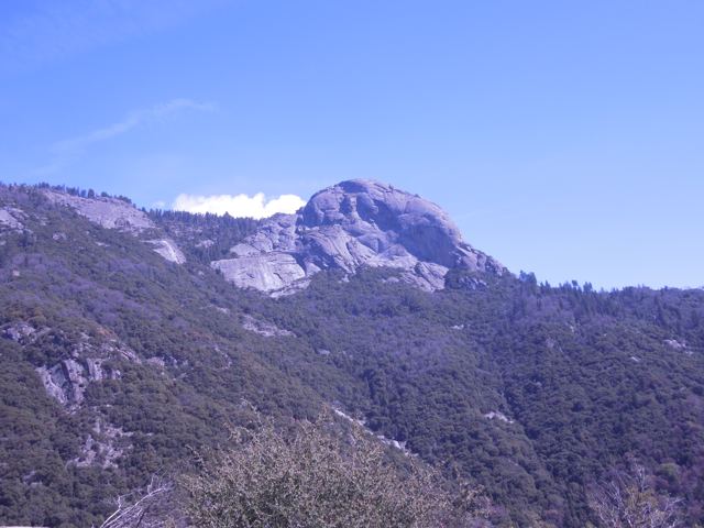A granite dome above forested slopes