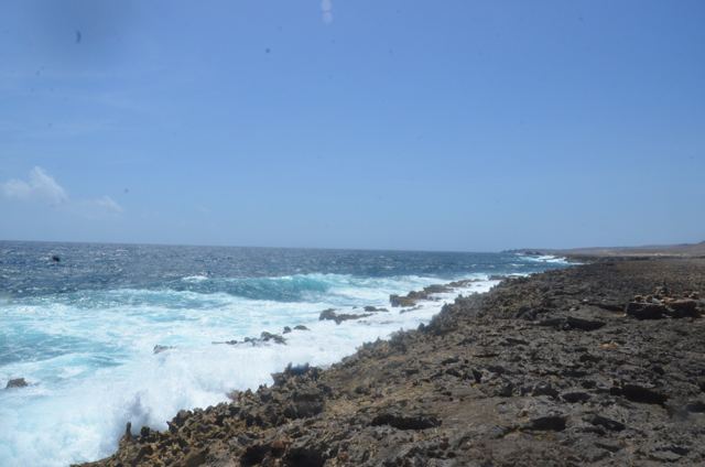 Waves breaking on a rugged rock coast