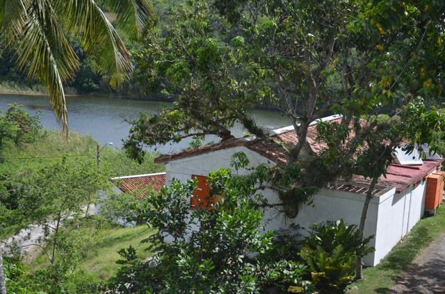 A river bend with palms and a white house