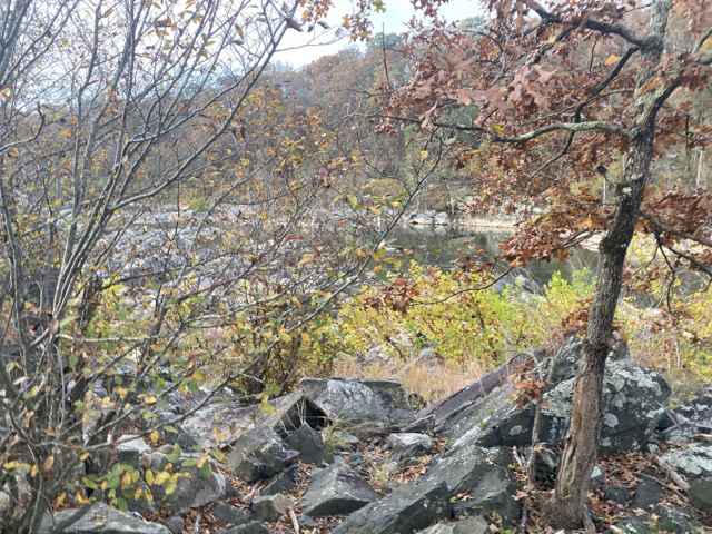Rocks and autumn foliage along the river bank