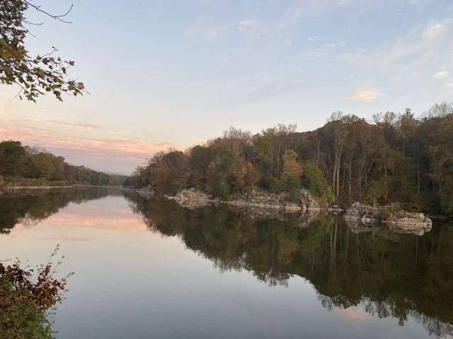 River at dusk reflecting an autumn tree line and a pink sky