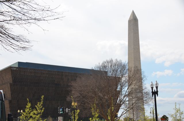 An obelisk rising behind trees