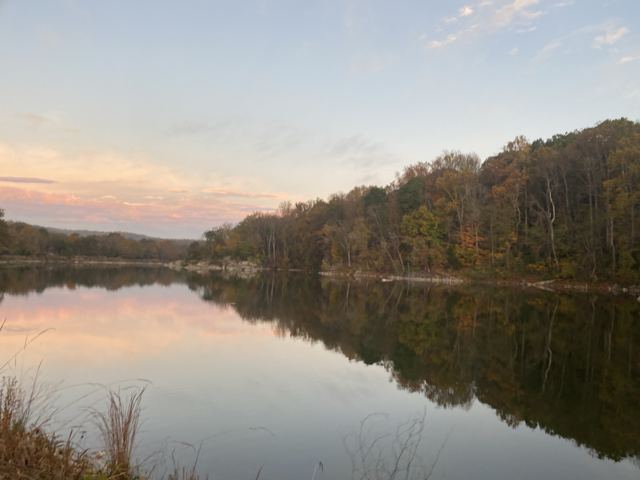 River at dusk reflecting an autumn tree line and a pink sky
