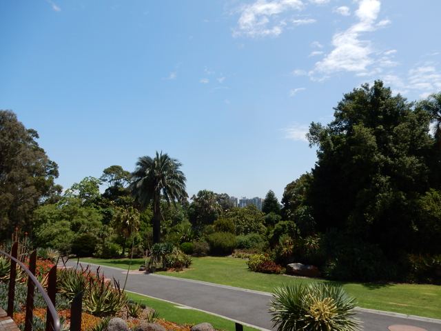 Gardens with palms and lawns under blue sky
