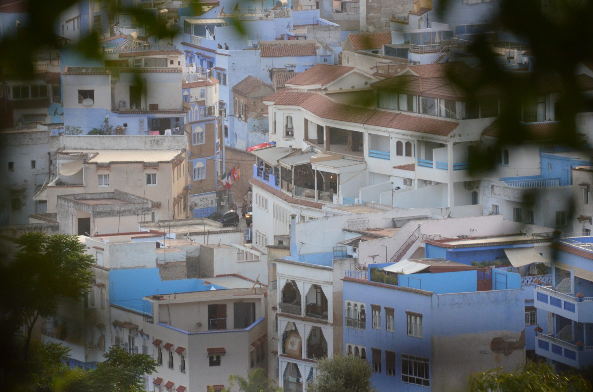 Blue-washed houses of a hillside town seen through leaves