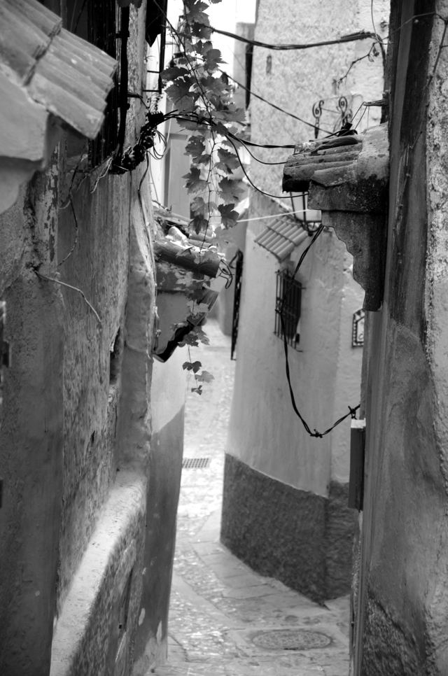 Narrow lane with plants hanging between blue walls