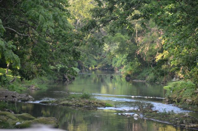 A quiet river in tropical woodland