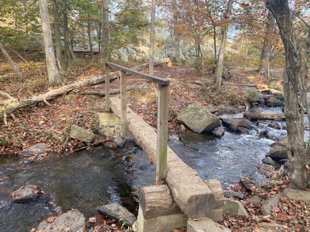 Wooden footbridge over a small stream in autumn woodland
