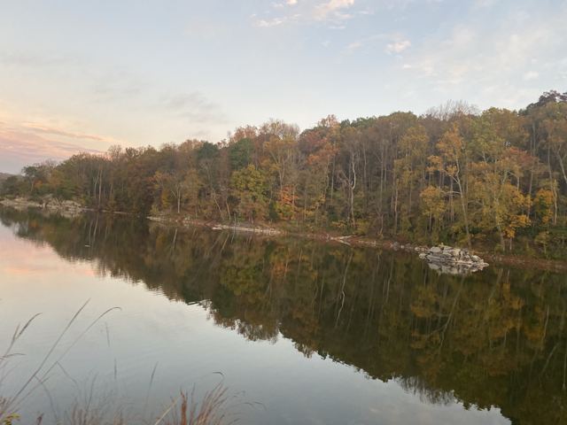 Autumn trees reflected in still river water