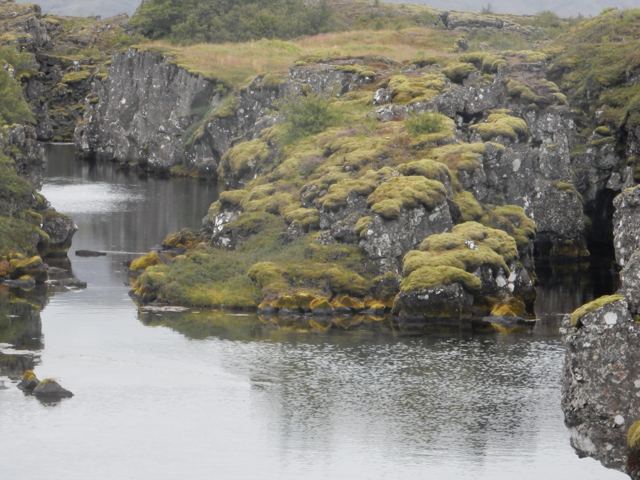 Moss-covered lava rocks beside a pool