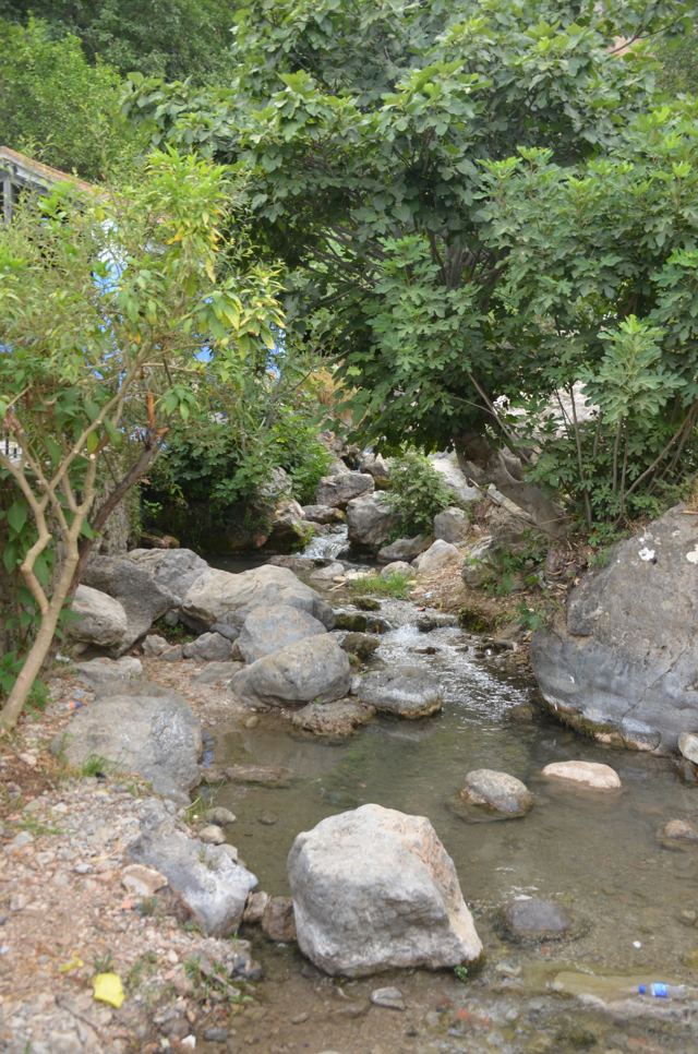 A stream running over rocks beneath green trees