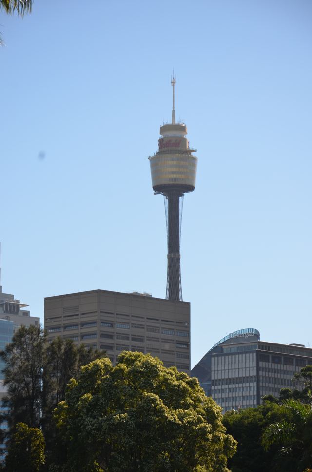 A tall city tower rising above trees